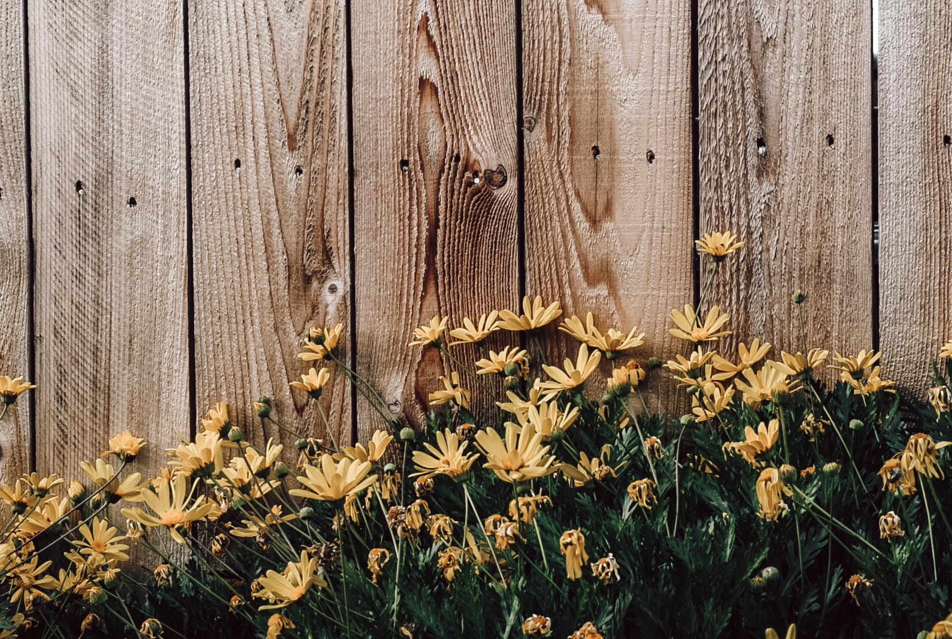 Exploring The Benefits of Custom Wood Fencing: Aesthetic Appeal, Privacy, and Durability