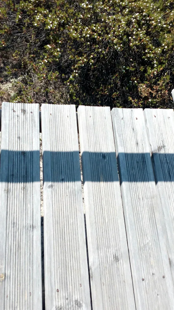 Wood Fences in Tanglewood TX